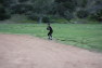 20120425079.jpg